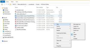 Microsoft Windows folder view